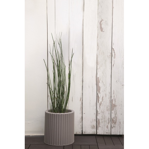 KETER Květináč Cylinder Planter S